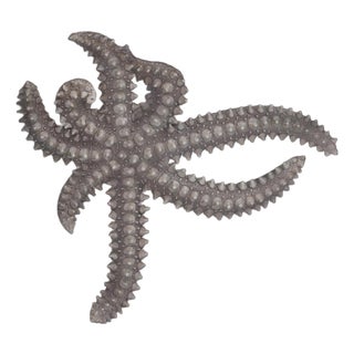 Star Fish Framed Art For Sale