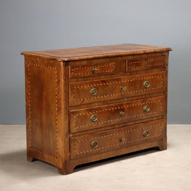 Chest of Drawers in Walnut For Sale - Image 12 of 12