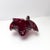 Red Large Red Sommerso Murano Glass Shell Bowl attributed to Alfredo Barbini, 1960s For Sale - Image 8 of 12