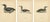 Antique Loon Bird Lithographs with Arctic Loon & Red-Throated Loon, 1929, Set of 3 For Sale