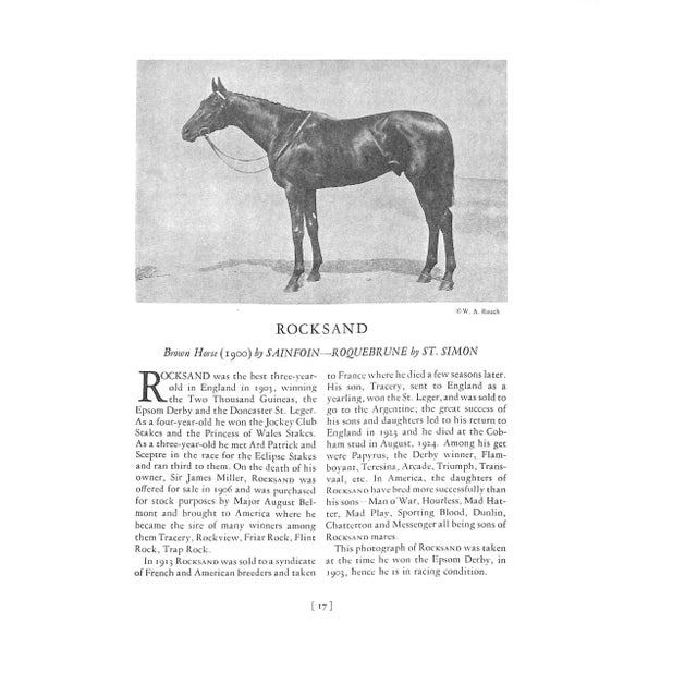 "Thoroughbred Types 1900-1925: Race Horses, Steeplechasers, Hunters, and Polo Ponies" 1926 Vosburgh, w.s. For Sale - Image 9 of 12
