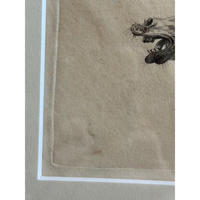 C.1800 Antique Etchings by Johannes Bemme, Set of 3 Horse Heads For Sale - Image 15 of 17