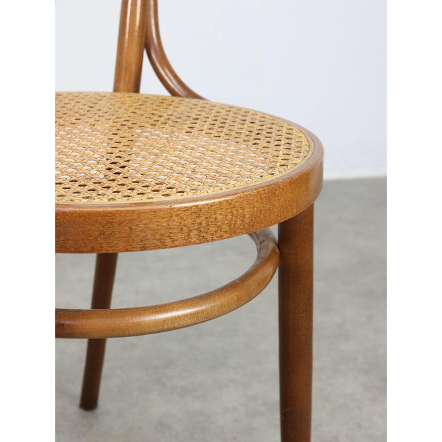 Thonet Vintage No. 18 Dining Chairs attributed to Michael Thonet for Thonet, Set of 2 For Sale - Image 4 of 18