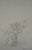 Alberto GIACOMETTI (1901-1966) (after) Landscape Lithograph after a drawing by the artist Signed in the plate On wove...