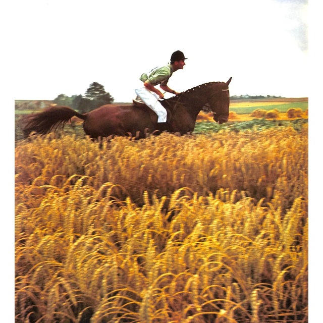 Paper "Joies Du Cheval" 1969 For Sale - Image 7 of 9