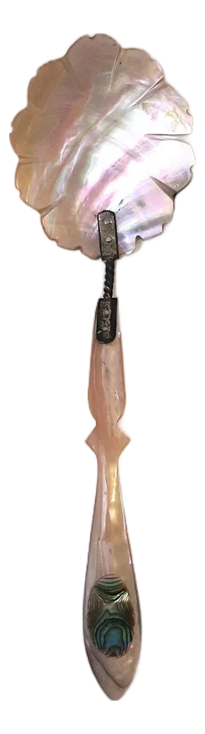 Mother of Pearl Spoon Caviar, Victorian Period
