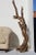 1950s 1950s Monumental Figurative Mid Century Driftwood Sculpture For Sale - Image 5 of 12