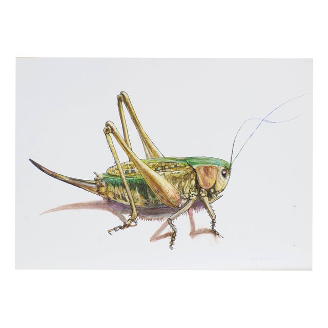 Juris Utans, Grasshopper II, 2021, Mixed Media on Paper For Sale