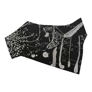 "Jupiter Tujo" Black & White Abstract Lithograph Signed L. Siekman For Sale