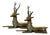 Hollywood Regency Brass Deer Statues, 1970s, Set of 2 For Sale