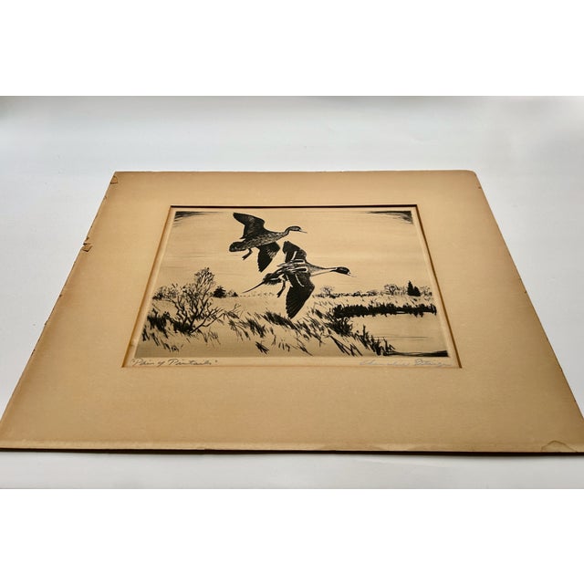 Churchill Ettinger "Pair of Pintails" Black & White Drypoint Etching, 1942 For Sale - Image 12 of 12