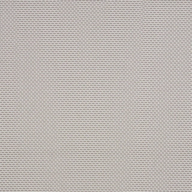 Schumacher Hickox Indoor/Outdoor Fabric in Natural For Sale