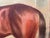 Wood Frederick Albert Clark (1869–1954) Spion Kop, Winner of the Derby Stakes, Important Signed British Equestrian Oil Painting, Dated 1920 For Sale - Image 7 of 10