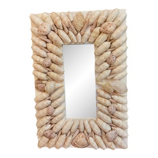Stunning Light Brown Seashell Mirror 10.5" X 15.5" For Sale
