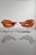 Molteni Vintage Hi-Cove Armchairs by Ferruccio Laviani for Molteni & C, 2000s, Set of 2 For Sale - Image 4 of 9