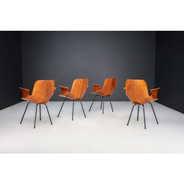 Medea Armchair by Vittorio Nobili for Fratelli Tagliabue, Italy, 1955 For Sale - Image 4 of 12