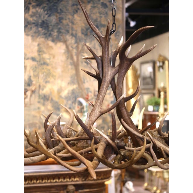 Vintage American Black Forest Style Elk and Deer Antler Ten-Light Chandelier For Sale - Image 4 of 7