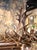 Vintage American Black Forest Style Elk and Deer Antler Ten-Light Chandelier For Sale - Image 4 of 7