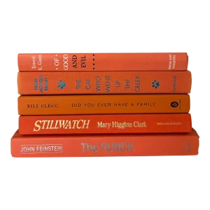 Mid 20th Century Salmon Book Stack With Vintage and Modern Titles - Set of 5