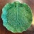 Antique Portuguese Majolica Pottery Green Cabbage or Lettuce Leaf Serving Dish For Sale - Image 10 of 14