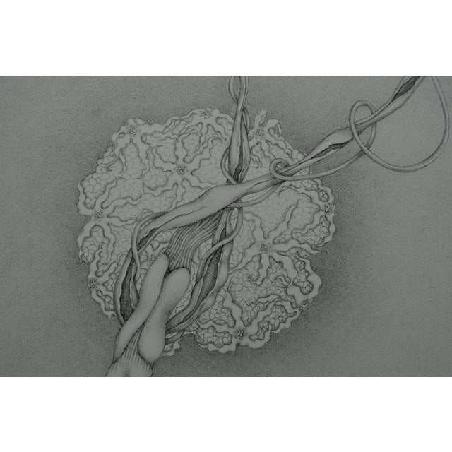 Gochka Charewicz, Eclosion, Lithograph For Sale - Image 4 of 7