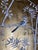 Metal Set of 3 Hand Painted Gold Leaf Chinoiserie Wallpaper Panels, Monochrome Bird & Bamboo Floral Mural, Custom Size Available For Sale - Image 7 of 9