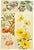 1900 French Art Nouveau Botanical Lithograph-Studies of Flowers For Sale - Image 4 of 4