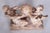 Mid-Century Plaster Statue from Karel Hájek, 1980s For Sale - Image 9 of 12