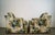 1960’s Mid-Century Modern Floral Lounge Chairs by Ethan Allen - A Pair For Sale In Los Angeles - Image 6 of 12