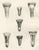 After Lilian Medland, Heads of the Wild Geese, 1909, Print For Sale - Image 12 of 12