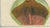 After Peter Henderson, Dragon Arum, Poisonous Plant, 1802, Engraving For Sale - Image 6 of 10