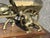 Huge Brass Centrepiece Of A Farmer with His Horse & Cart. "Toil" Mounted on a wooden base. Size :- 42 cms wide, 22.5 cms...