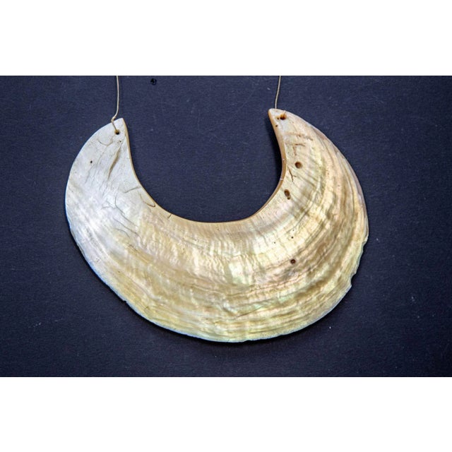 Ivory Antique Ethnic Tribal Kina Crescent Shell Necklaces Papua New Guinea Set of 3 For Sale - Image 8 of 12