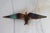 Set of three brutalist copper birds in flight wall hangings. Ready to hang. Minor age wear. 7.75"W x 1"D x 2.75"H 8.5"W x...