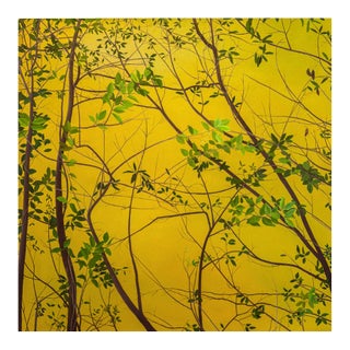 Astrid Preston, Through Branches, 2003 — Oil on Canvas, 42 × 42 Inches For Sale