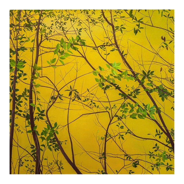 Astrid Preston, Through Branches, 2003 — Oil on Canvas, 42 × 42 Inches For Sale