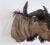 1950s African Wildebeast Head Bust For Sale - Image 10 of 12