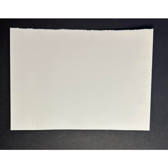 I love to see sailboats gliding through the water. That’s what freedom looks like to me.