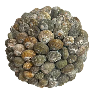 Contemporary Shell Encrusted Decorative Ball or Sphere