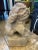 Early 20th Century Antique Stone Garden Foo Dog For Sale - Image 5 of 13