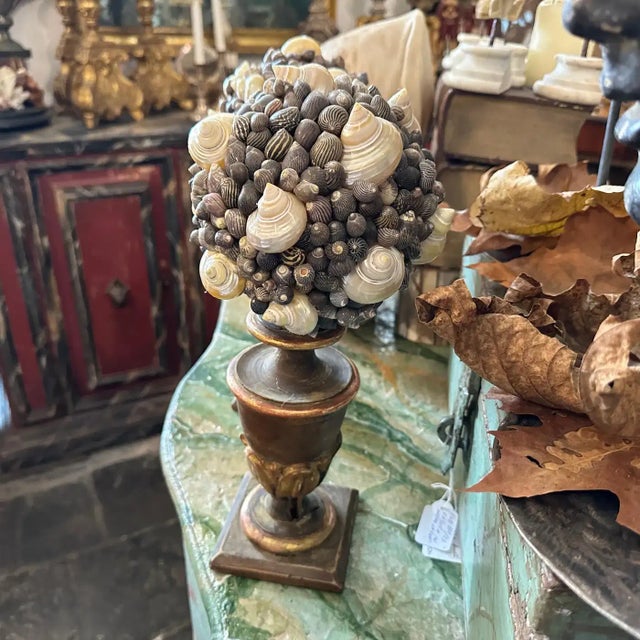 19th Century Lacquered Wood Sicilian Palm Holder With Shell Composition - a Pair For Sale - Image 11 of 11