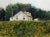 Illustration Richard Schlecht - Farm House in Virginia - Oil Painting For Sale - Image 3 of 8
