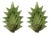 Floral Murano Glass Wall Sconces in Green, 2000, Set of 2 For Sale