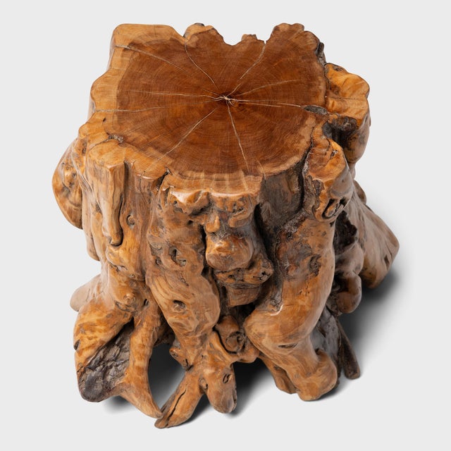 Chinese Rootwood Side Table For Sale - Image 4 of 5