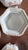 Rare Antique English Bone China Bat Printed Tea Service, by Ridgway, Pattern 1684/2, Circa 1830s - 22 pcs For Sale - Image 11 of 18