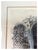 Antique Signed Print of a Mosque, Ethnographic, Architectural, Signed For Sale - Image 6 of 14