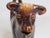 1920s Brown Glazed English Staffordshire Cow Creamer For Sale - Image 5 of 13