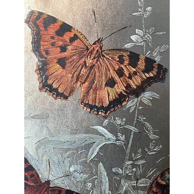 1960s Monarch Butterflies on Silver Chromolithograph Framed For Sale In Miami - Image 6 of 6
