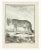 Le Loup is an etching realized by Jean Charles Baquoy in 1771. It belongs to the suite "Histoire Naturelle de Buffon". The...