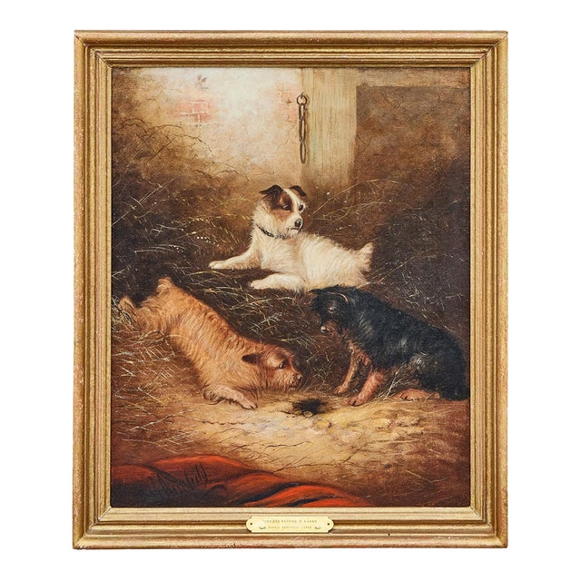 Oil Painting of Terriers Ratting in a Barn, Signed George Armfield, circa 1850 For Sale